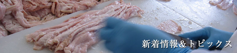 ニュース新着情報